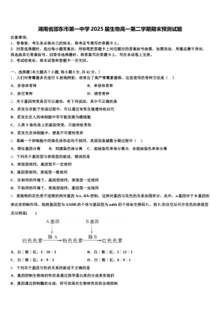湖南省邵东市第一中学2025届生物高一第二学期期末预测试题含解析