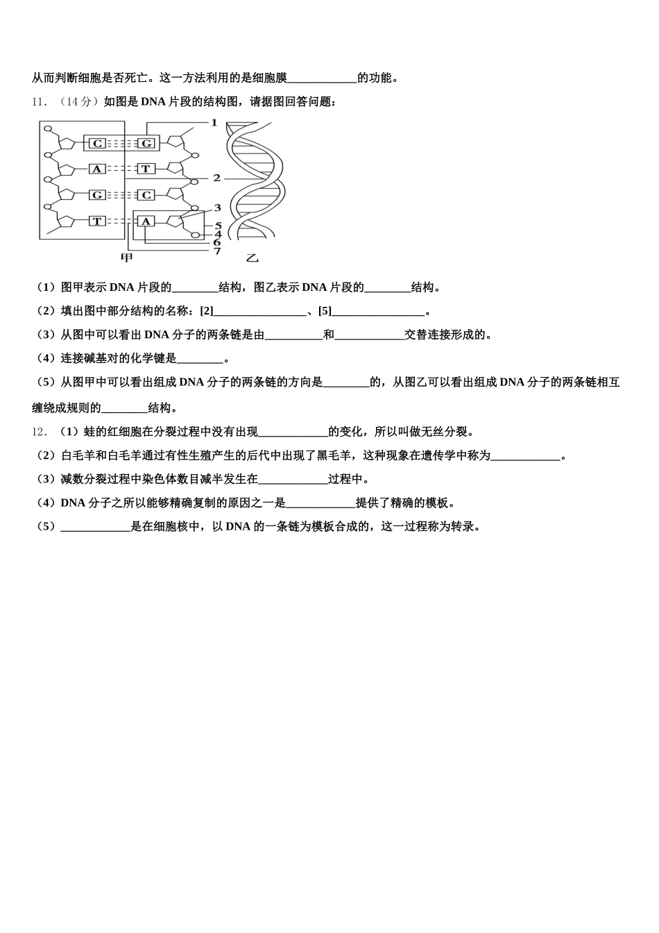 2025年湖南名师联盟高一生物第二学期期末调研模拟试题含解析_第3页
