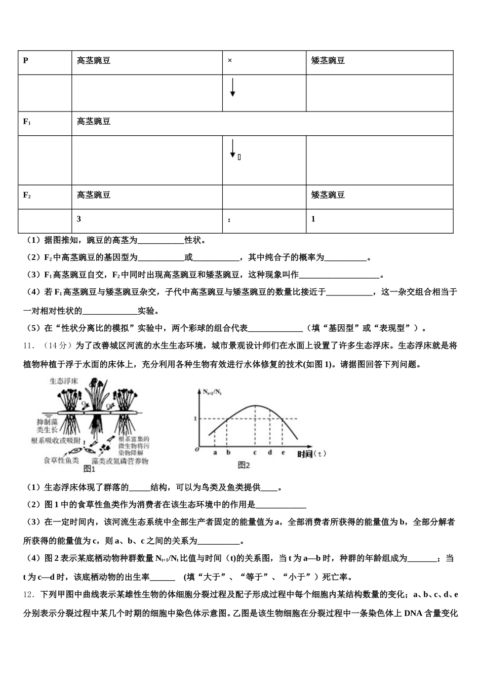2025届湖南省株洲市醴陵市第二中学、醴陵市第四中学生物高一第二学期期末监测模拟试题含解析_第3页