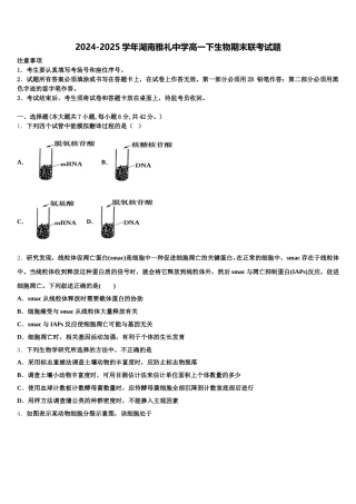 2024-2025学年湖南雅礼中学高一下生物期末联考试题含解析