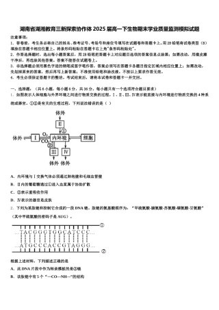 湖南省湖湘教育三新探索协作体2025届高一下生物期末学业质量监测模拟试题含解析