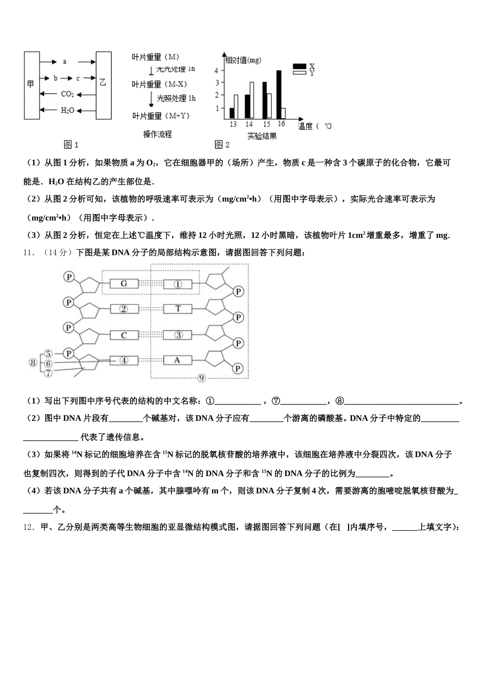 2025届湖南省岳阳县第一中学、汨罗市一中高一生物第二学期期末复习检测试题含解析_第3页