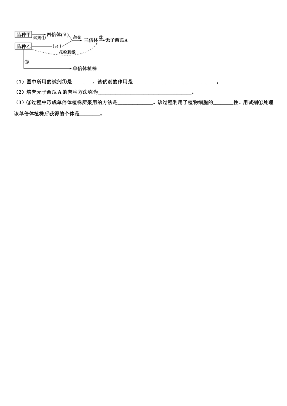 湖南省邵阳市双清区十一中2025年高一下生物期末质量检测模拟试题含解析_第3页