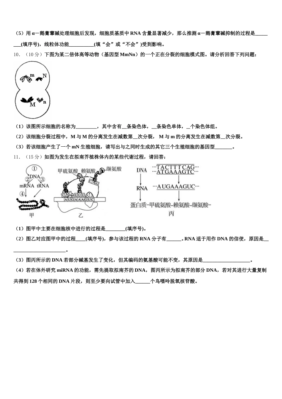 湖南省益阳市第一中学2024-2025学年高一下生物期末考试试题含解析_第3页