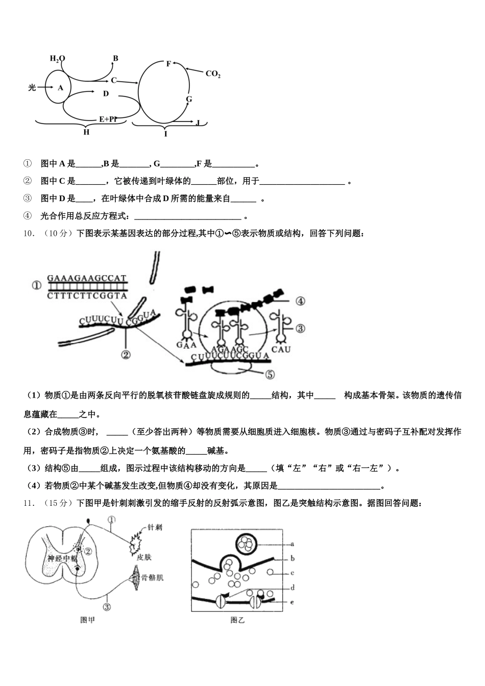 湖南省湘西土家族苗族自治州2025届高一下生物期末联考模拟试题含解析_第3页