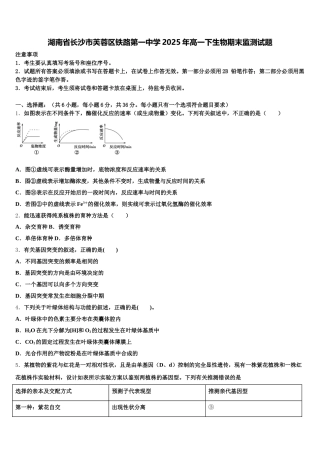 湖南省长沙市芙蓉区铁路第一中学2025年高一下生物期末监测试题含解析