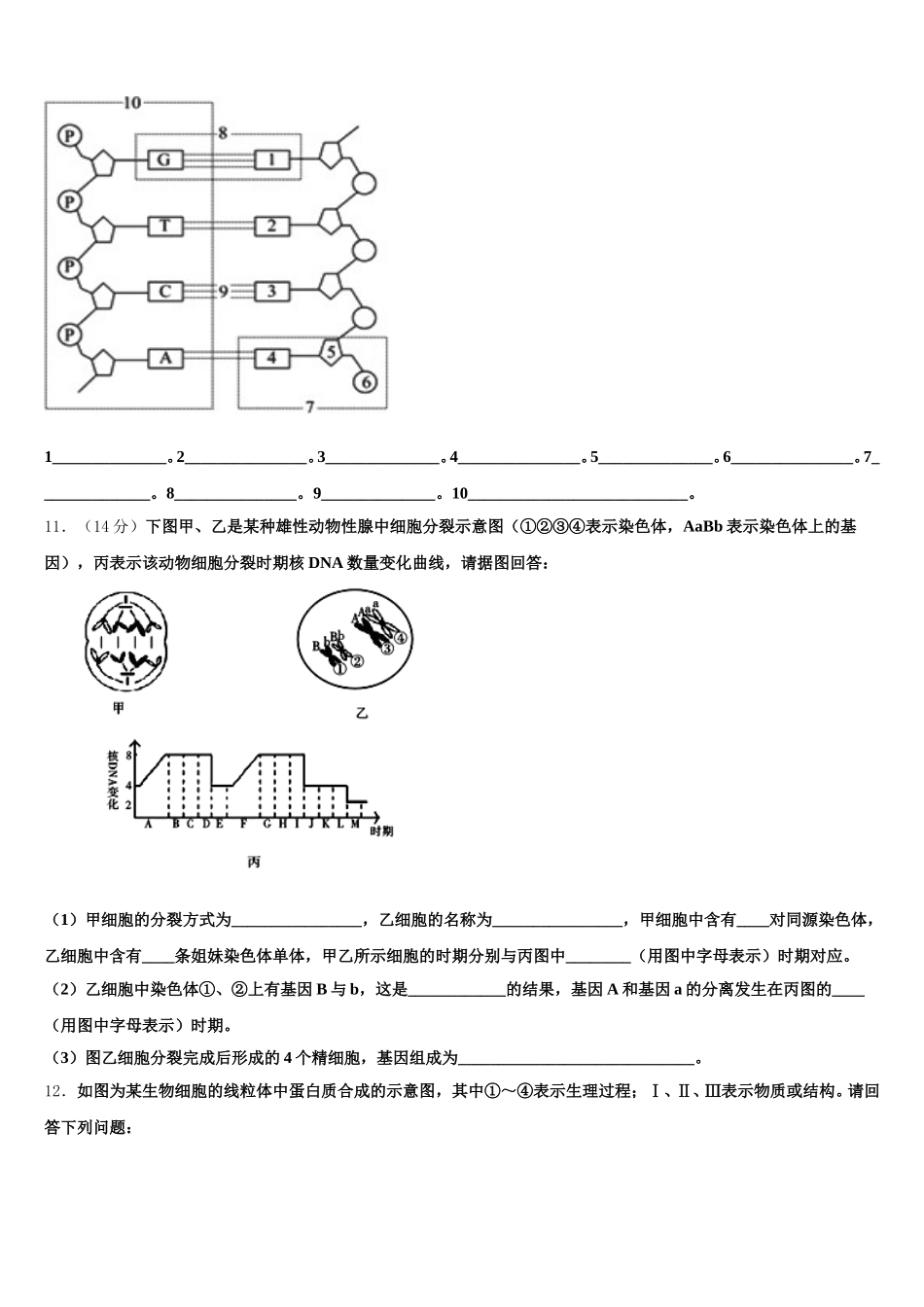 湖南省怀化三中2025年高一下生物期末质量检测模拟试题含解析_第3页