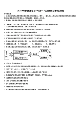 2025年湖南省邵东县一中高一下生物期末联考模拟试题含解析