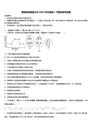 湖南省茶陵县三中2025年生物高一下期末联考试题含解析