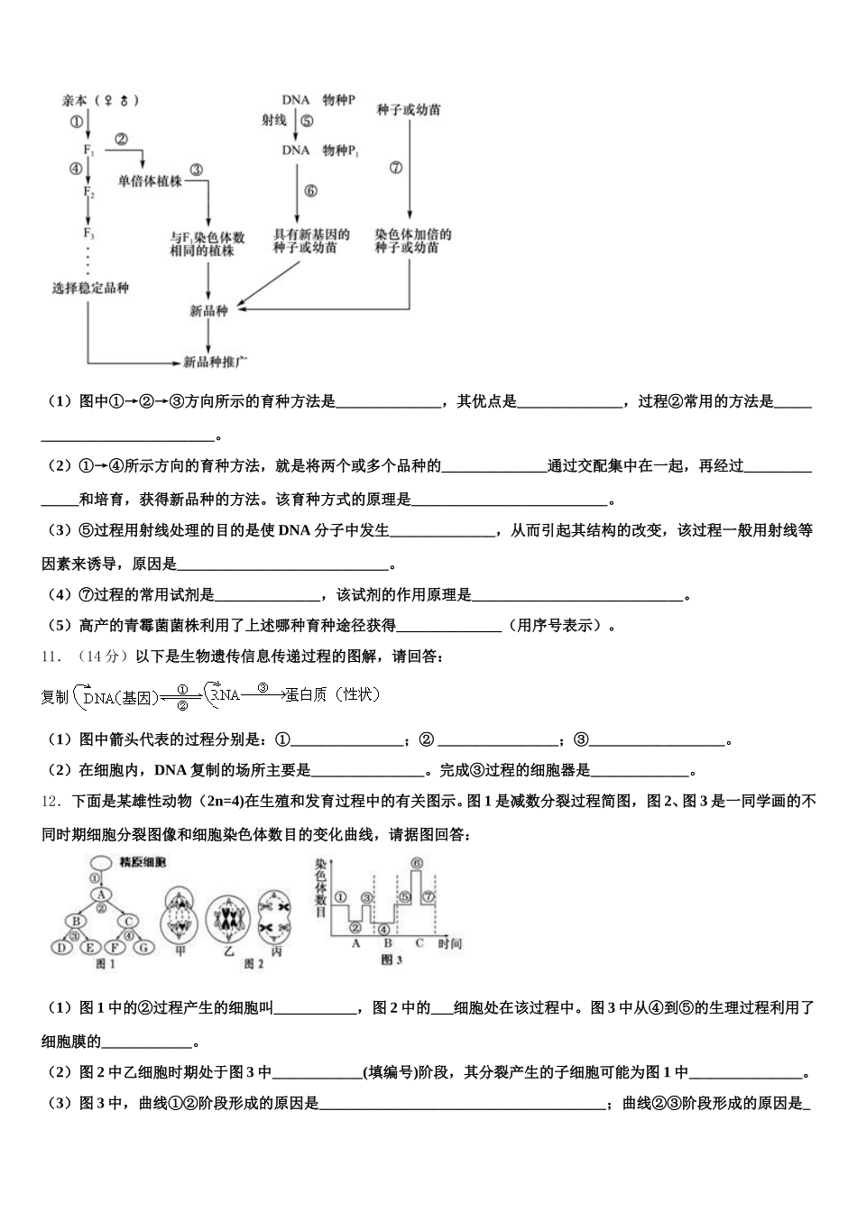 2024-2025学年平面向量全真试题专项解析-生物高一第二学期期末教学质量检测模拟试题含解析_第3页