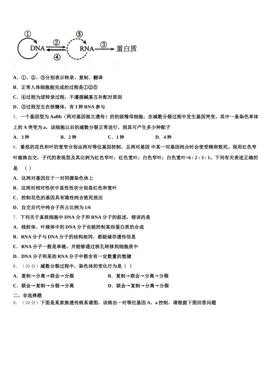2025年湖南邵阳市第二中学高一下生物期末学业水平测试模拟试题含解析_第2页