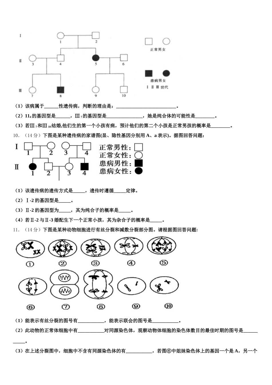 2025年湖南邵阳市第二中学高一下生物期末学业水平测试模拟试题含解析_第3页