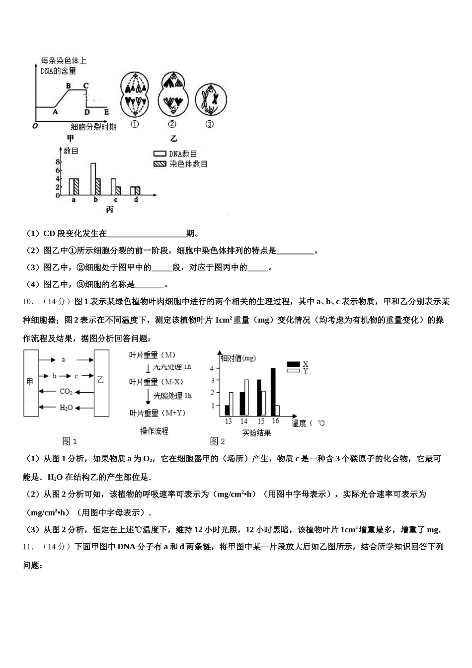 湖南省益阳市箴言中学2025年生物高一下期末教学质量检测试题含解析_第3页