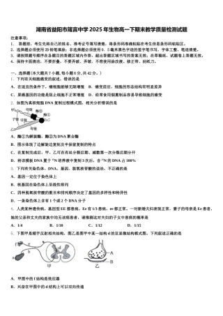 湖南省益阳市箴言中学2025年生物高一下期末教学质量检测试题含解析