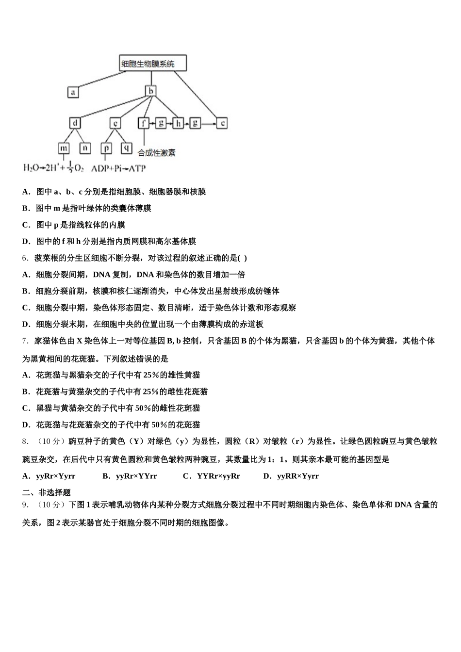 2024-2025学年安徽省阜阳市生物高一第二学期期末教学质量检测试题含解析_第2页