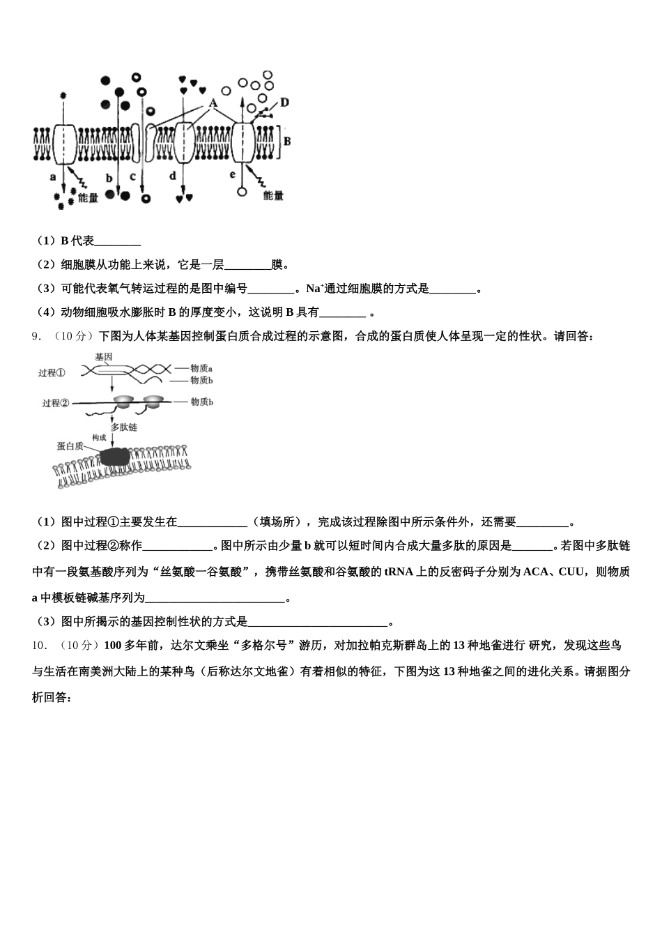 安徽省定远二中2025届生物高一下期末检测模拟试题含解析_第3页