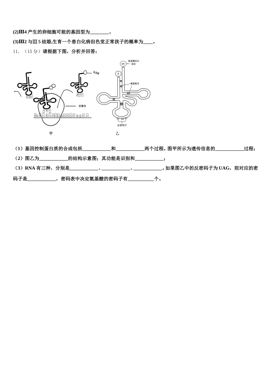 安徽省阜阳三中2024-2025学年生物高一第二学期期末监测试题含解析_第3页