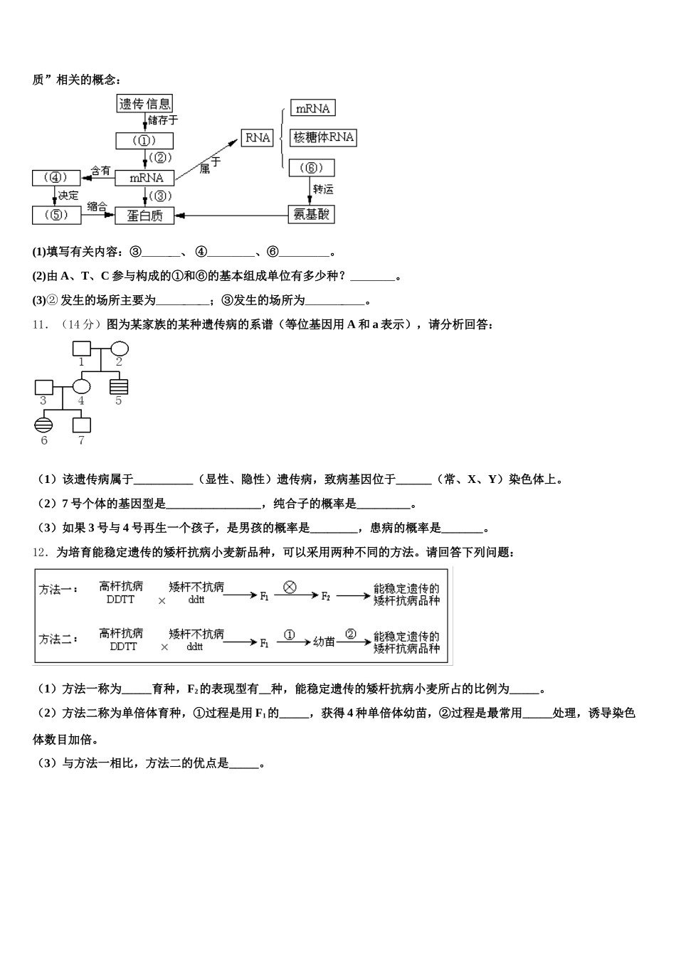 安徽省涡阳县第一中学2024-2025学年高一生物第二学期期末达标测试试题含解析_第3页