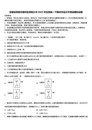安徽省阜阳市颍州区阜阳三中2025年生物高一下期末学业水平测试模拟试题含解析