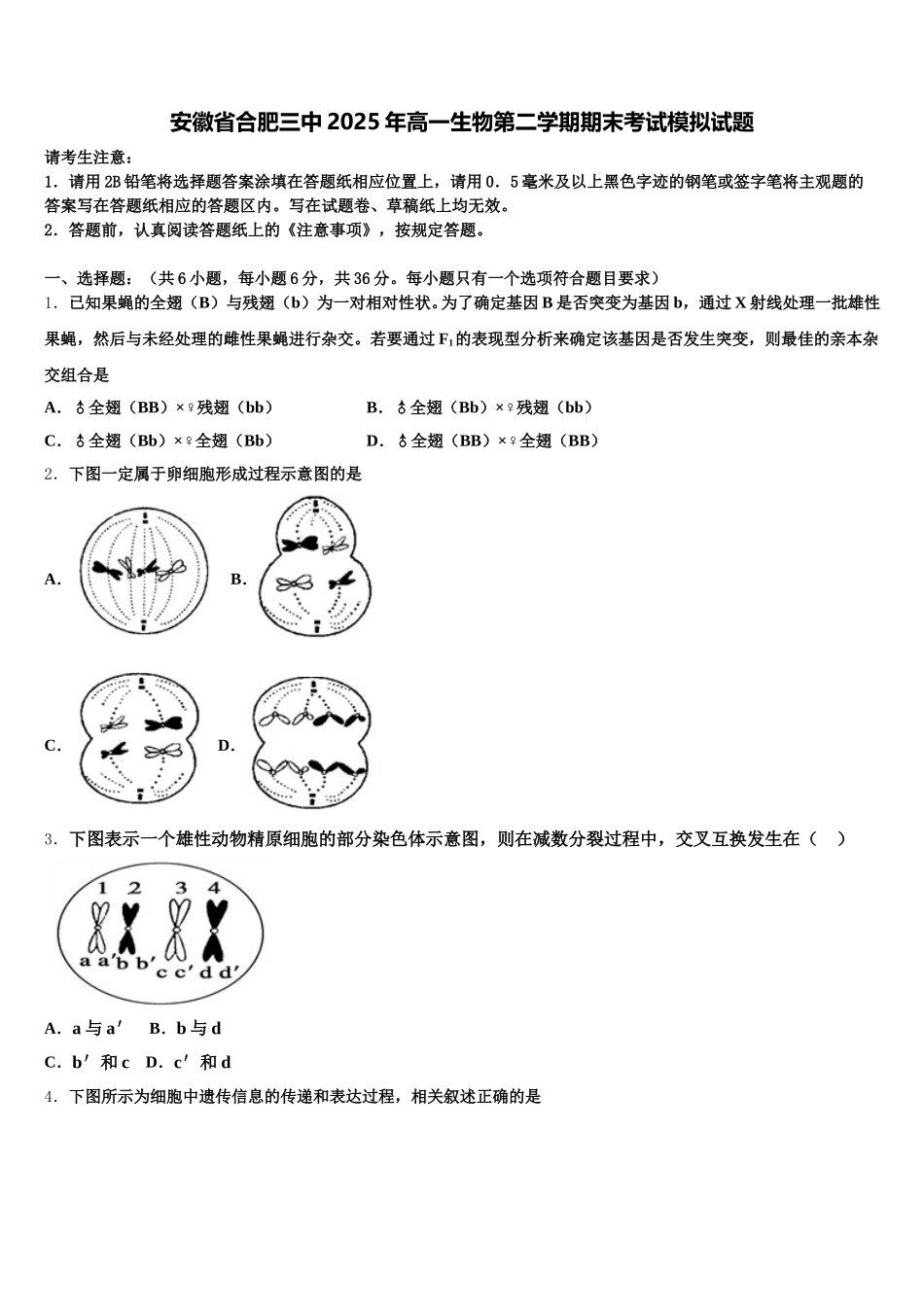 安徽省合肥三中2025年高一生物第二学期期末考试模拟试题含解析_第1页