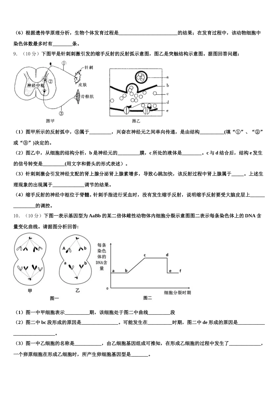 2025年安徽省合肥市肥东县第二中学高一下生物期末达标测试试题含解析_第3页