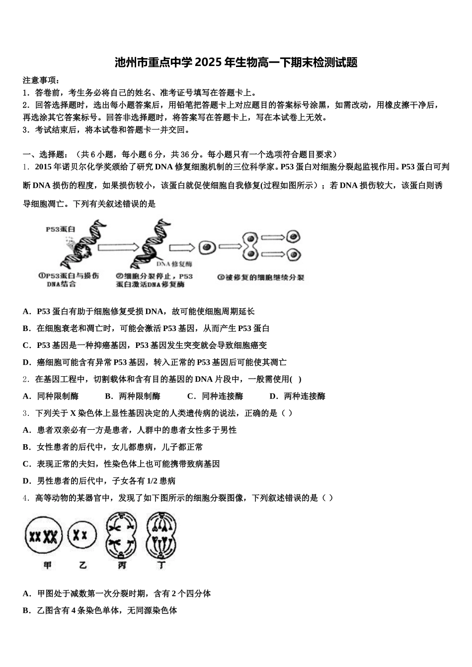 池州市重点中学2025年生物高一下期末检测试题含解析_第1页