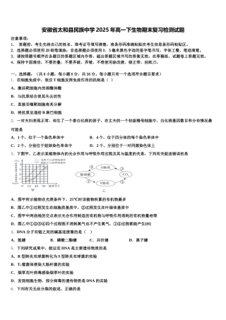 安徽省太和县民族中学2025年高一下生物期末复习检测试题含解析