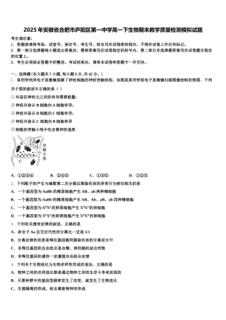 2025年安徽省合肥市庐阳区第一中学高一下生物期末教学质量检测模拟试题含解析