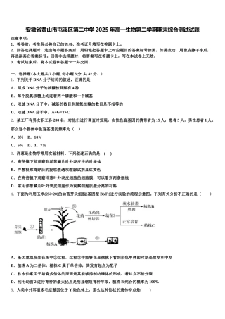 安徽省黄山市屯溪区第二中学2025年高一生物第二学期期末综合测试试题含解析
