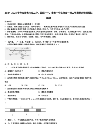 2024-2025学年安徽省六安二中、霍邱一中、金寨一中生物高一第二学期期末检测模拟试题含解析