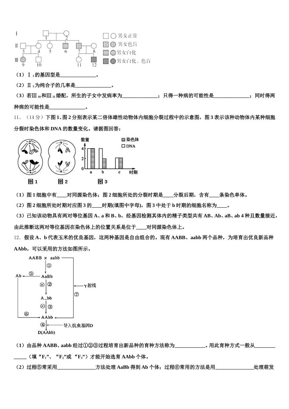安徽省淮北市淮北师大附属实验中学2025年生物高一下期末学业水平测试模拟试题含解析_第3页