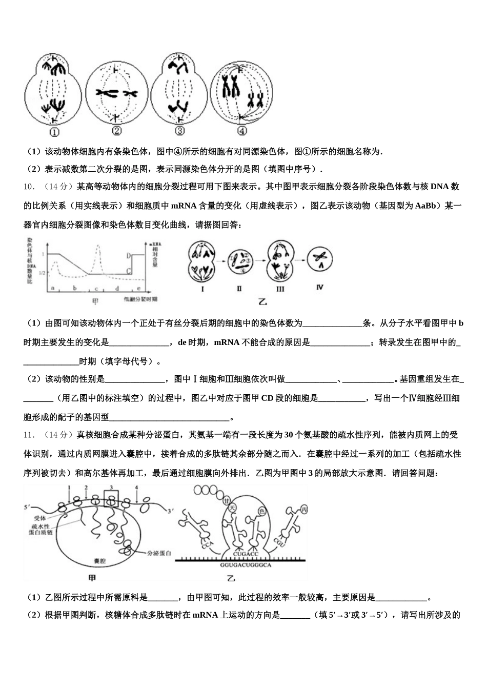 2025届安徽省利辛县第一中学生物高一下期末经典试题含解析_第3页