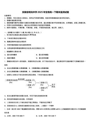 安徽省明光中学2025年生物高一下期末监测试题含解析