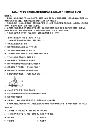 2024-2025学年安徽省合肥市高升学校生物高一第二学期期末经典试题含解析