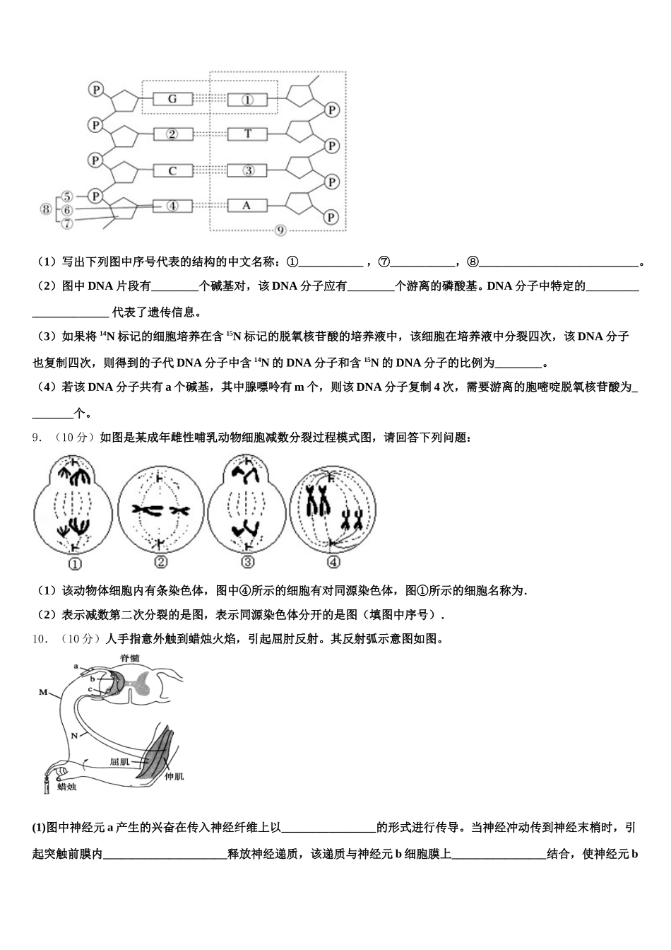 安徽省临泉县第一中学2025届高一生物第二学期期末统考试题含解析_第3页