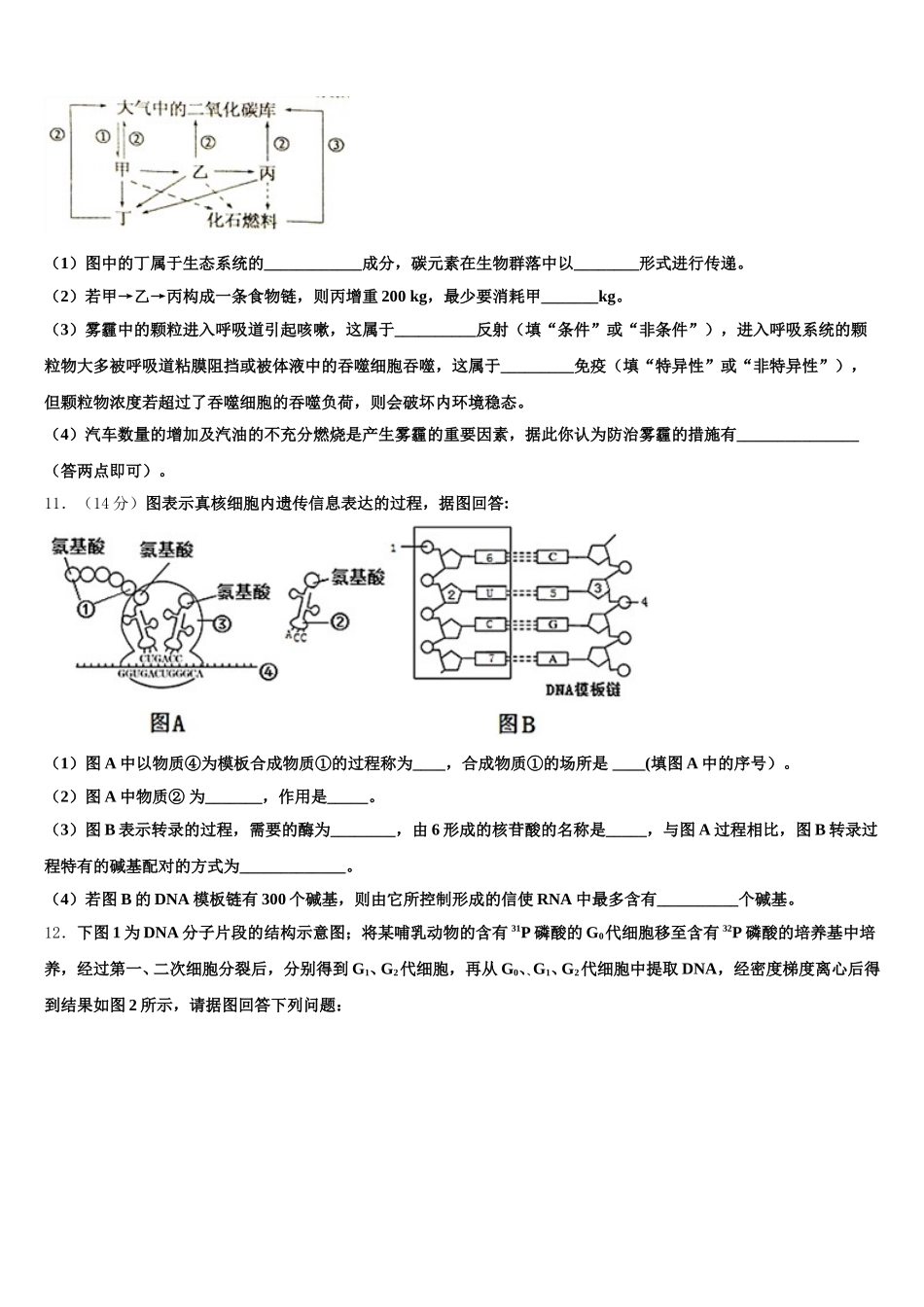 2025年安徽省太和一中、灵璧中学生物高一下期末达标检测模拟试题含解析_第3页