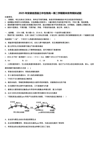 2025年安徽省泗县三中生物高一第二学期期末统考模拟试题含解析