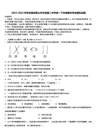2024-2025学年安徽省黄山市屯溪第二中学高一下生物期末考试模拟试题含解析
