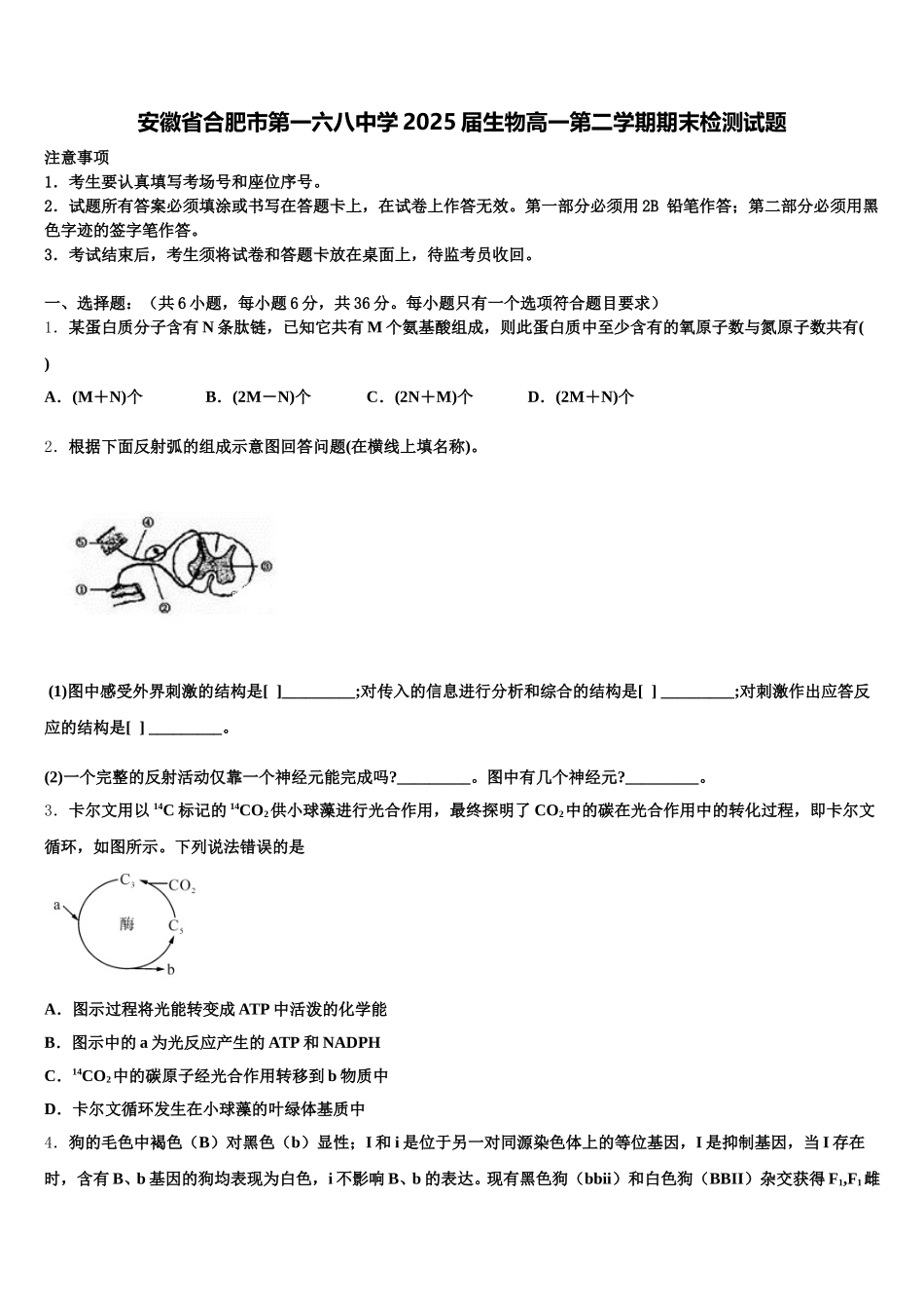 安徽省合肥市第一六八中学2025届生物高一第二学期期末检测试题含解析_第1页