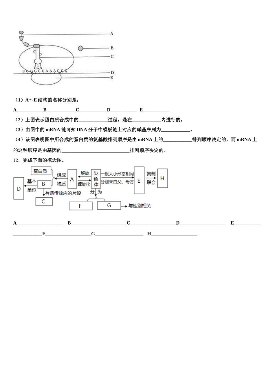 2025年安徽省定远县第二中学生物高一下期末经典试题含解析_第3页