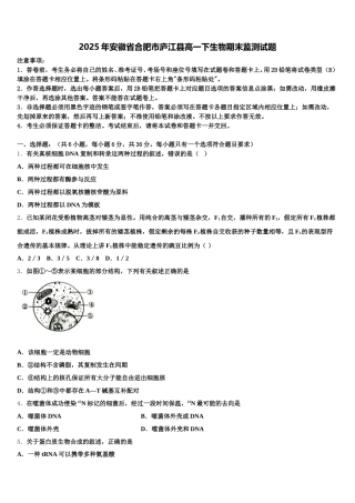 2025年安徽省合肥市庐江县高一下生物期末监测试题含解析