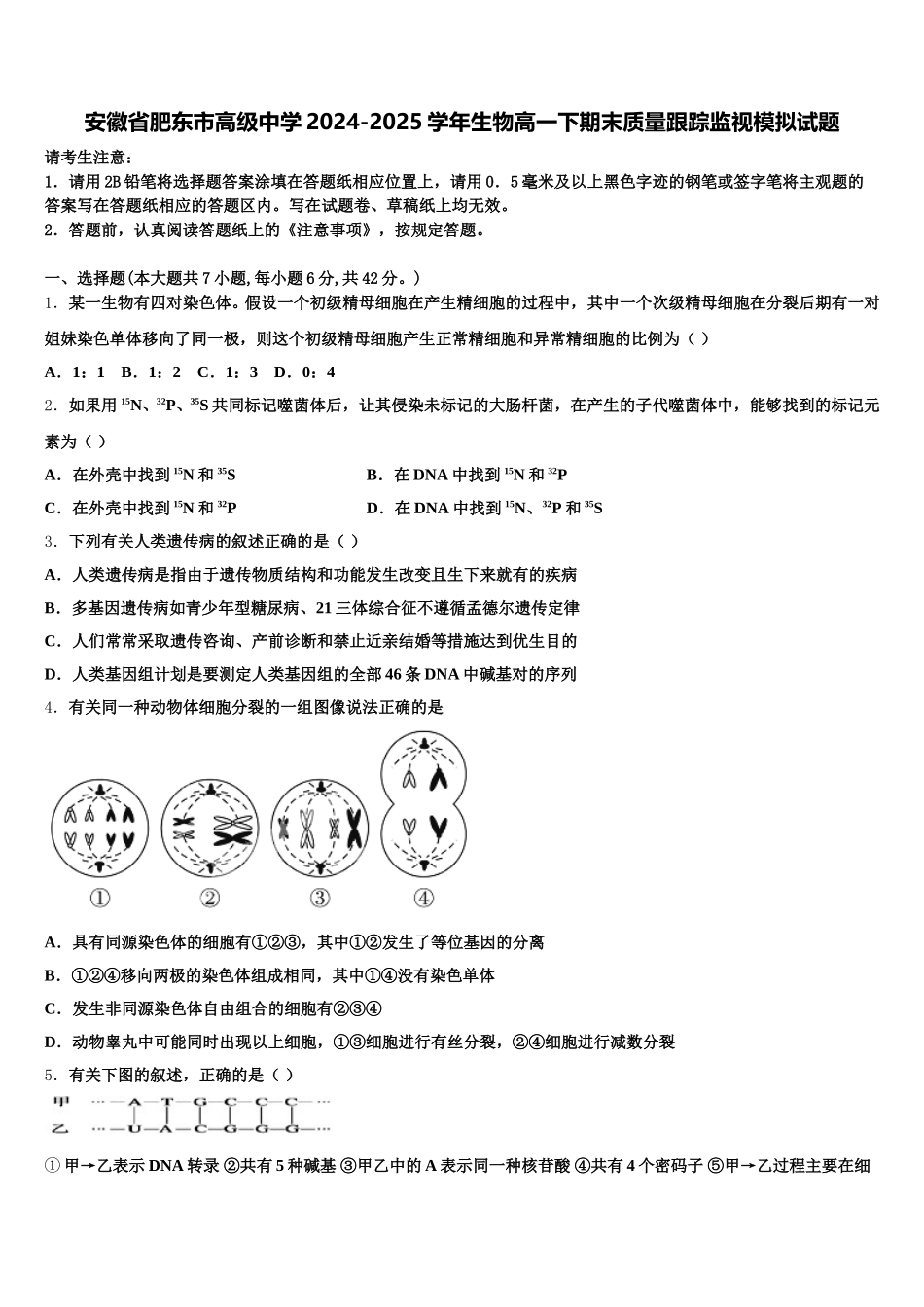 安徽省肥东市高级中学2024-2025学年生物高一下期末质量跟踪监视模拟试题含解析_第1页