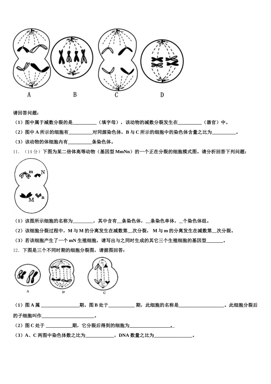安徽省六安市青山中学2024-2025学年生物高一下期末统考模拟试题含解析_第3页