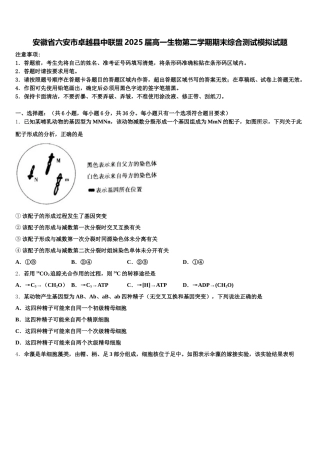 安徽省六安市卓越县中联盟2025届高一生物第二学期期末综合测试模拟试题含解析