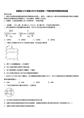 安徽省A10联盟2025年生物高一下期末教学质量检测试题含解析