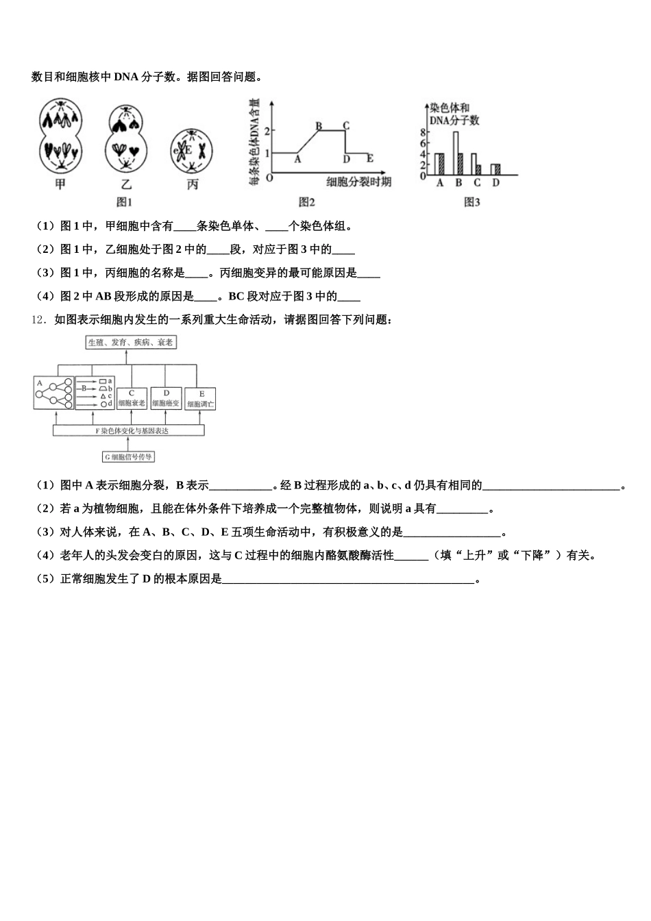 安徽省安庆一中、安师大附中、铜陵一中2025年生物高一第二学期期末复习检测试题含解析_第3页