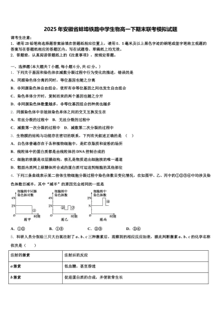 2025年安徽省蚌埠铁路中学生物高一下期末联考模拟试题含解析