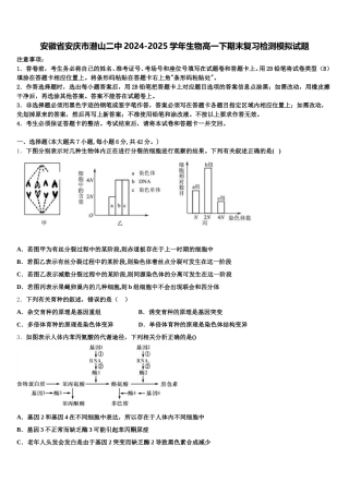 安徽省安庆市潜山二中2024-2025学年生物高一下期末复习检测模拟试题含解析