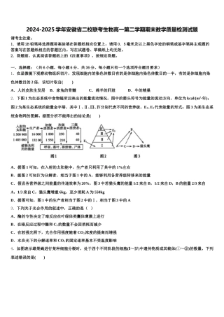 2024-2025学年安徽省二校联考生物高一第二学期期末教学质量检测试题含解析