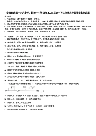 安徽省合肥一六八中学、铜陵一中等四校2025届高一下生物期末学业质量监测试题含解析